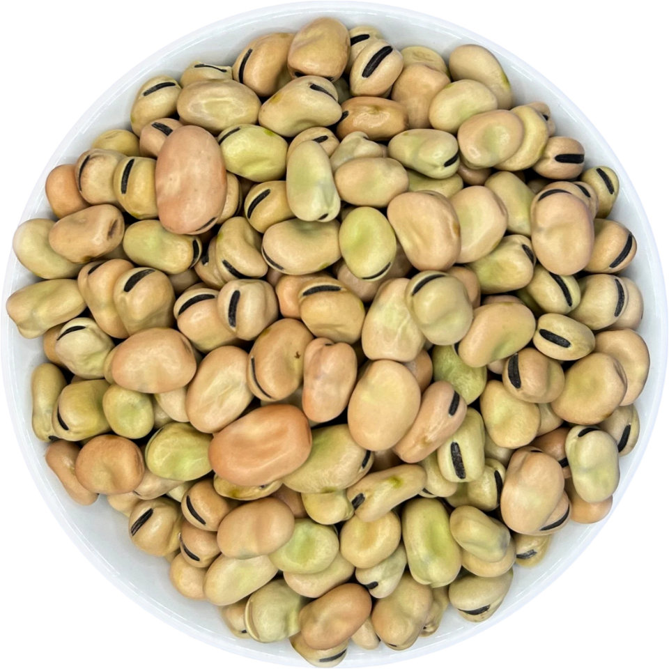 Faba beans (broad beans)